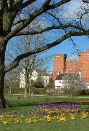 Vivary Park, Taunton
